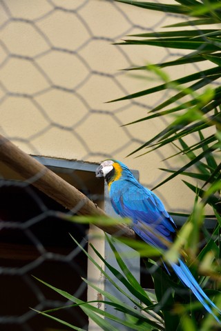 20150326 - Rome - 251